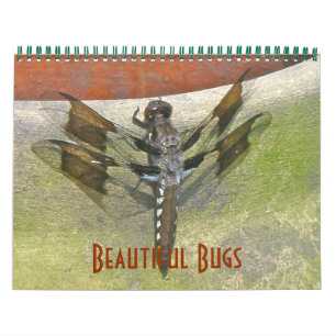 Calendrier - Beaux bugs