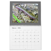 Calendrier - Beaux bugs (Feb 2026)