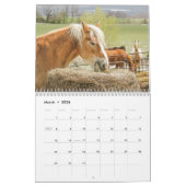 Calendrier Beaux Chevaux Moyenne 12 Mois (Mar 2026)