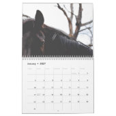 Calendrier Beaux Chevaux Moyenne 12 Mois (Jan 2027)