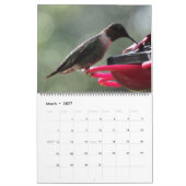 Calendrier Beaux Colibris - Jolies Oiseaux Colorés (Mar 2027)