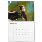 Calendrier Beaux Colibris - Jolies Oiseaux Colorés (Feb 2027)
