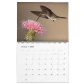 Calendrier Beaux Colibris - Jolies Oiseaux Colorés (Jan 2027)
