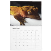 Calendrier Beaux lézards (Mar 2027)
