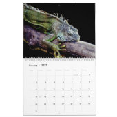 Calendrier Beaux lézards (Jan 2027)