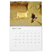 Calendrier Beaux oiseaux (Feb 2027)