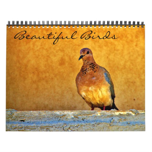 Calendrier Beaux oiseaux (Protection)