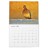 Calendrier Beaux oiseaux (Jan 2027)