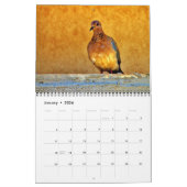 Calendrier Beaux oiseaux (Jan 2026)
