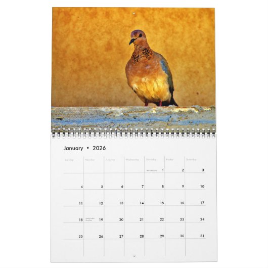 Calendrier Beaux oiseaux (Jan 2026)