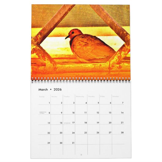 Calendrier Beaux oiseaux (Mar 2026)