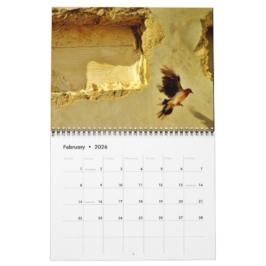 Calendrier Beaux oiseaux (Feb 2026)