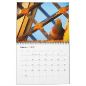 Calendrier Beaux Oiseaux (Feb 2027)
