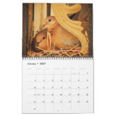 Calendrier Beaux Oiseaux (Jan 2027)