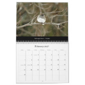 Calendrier Beaux oiseaux #2 (Feb 2027)