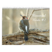 Calendrier Beaux oiseaux #2 (Protection)