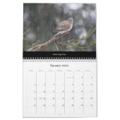 Calendrier Beaux oiseaux #2 (Jan 2026)