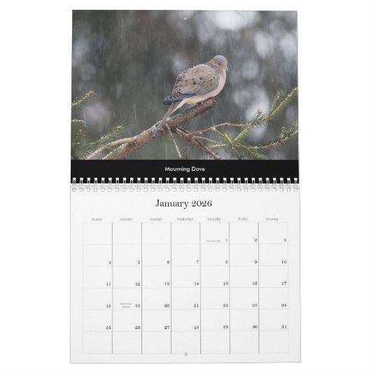 Calendrier Beaux oiseaux #2 (Jan 2026)