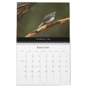Calendrier Beaux oiseaux #2 (Mar 2026)
