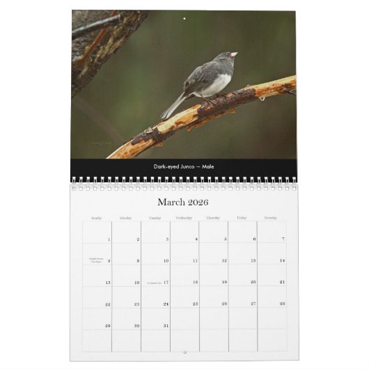 Calendrier Beaux oiseaux #2 (Mar 2026)