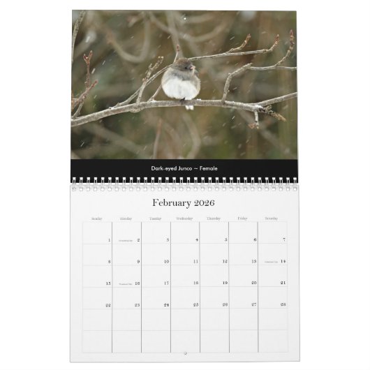 Calendrier Beaux oiseaux #2 (Feb 2026)