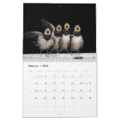Calendrier Beaux Oiseaux Natures Animaux Avian (Feb 2026)