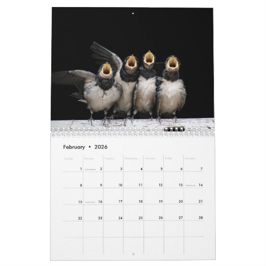 Calendrier Beaux Oiseaux Natures Animaux Avian (Feb 2026)