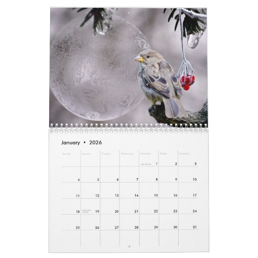 Calendrier Beaux Oiseaux Natures Animaux Avian (Jan 2026)