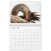 Calendrier Beaux Oiseaux Natures Animaux Avian (Mar 2027)