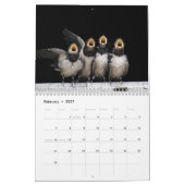 Calendrier Beaux Oiseaux Natures Animaux Avian (Feb 2027)