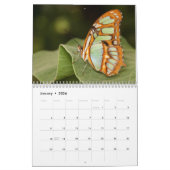 Calendrier Beaux papillons (Jan 2026)