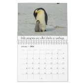 Calendrier Bébés (Jan 2026)