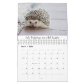 Calendrier Bébés (Mar 2026)