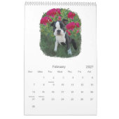 Calendrier Bébés de Boston (Feb 2027)