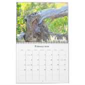 CALENDRIER BÉBÉS DE LA FAUNE AFRICAINE (Feb 2026)