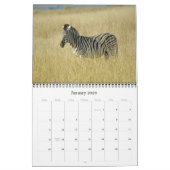 CALENDRIER BÉBÉS DE LA FAUNE AFRICAINE (Jan 2026)