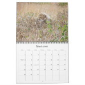 CALENDRIER BÉBÉS DE LA FAUNE AFRICAINE (Mar 2026)