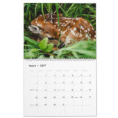 Calendrier Bébés mignons animaux (Mar 2027)