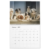 Calendrier Bébés mignons animaux (Feb 2027)