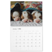Calendrier Bébés mignons animaux (Jan 2026)