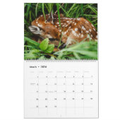 Calendrier Bébés mignons animaux (Mar 2026)