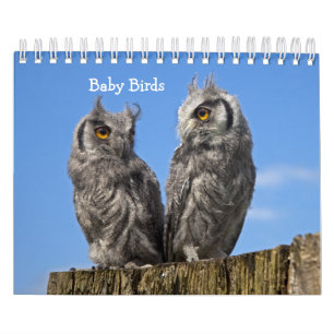 Calendrier Bébés Oiseaux