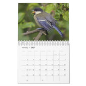 Calendrier Bébés Oiseaux (Jan 2027)