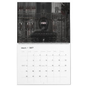 Calendrier Beelzebrad Studios 25e anniversaire (Mar 2027)
