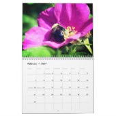 Calendrier Bees And Insects On Flowers Nature  (Feb 2027)