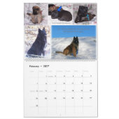 Calendrier belge de Tervuren de berger (Feb 2027)