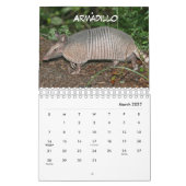 Calendrier Belize (Mar 2027)