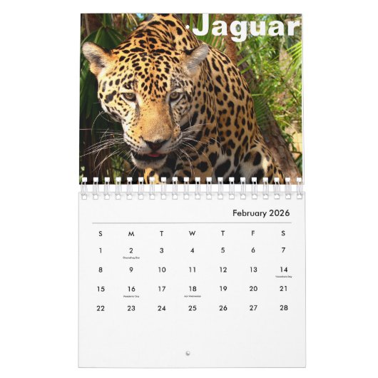 Calendrier Belize (Feb 2026)