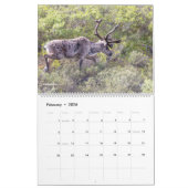 Calendrier Belle Alaska Paysage & Faune Photographie (Feb 2026)