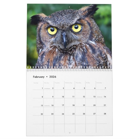 Calendrier Belle Chouette Mur élégant (Feb 2026)